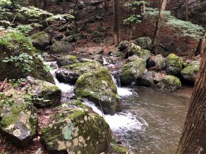 ぶどう峠、上野村までの途中にある清流日向沢