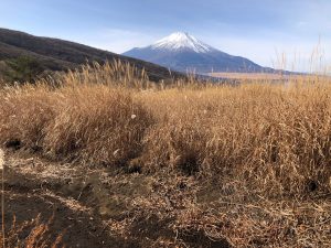 肩越しに富士山視線だ・・。